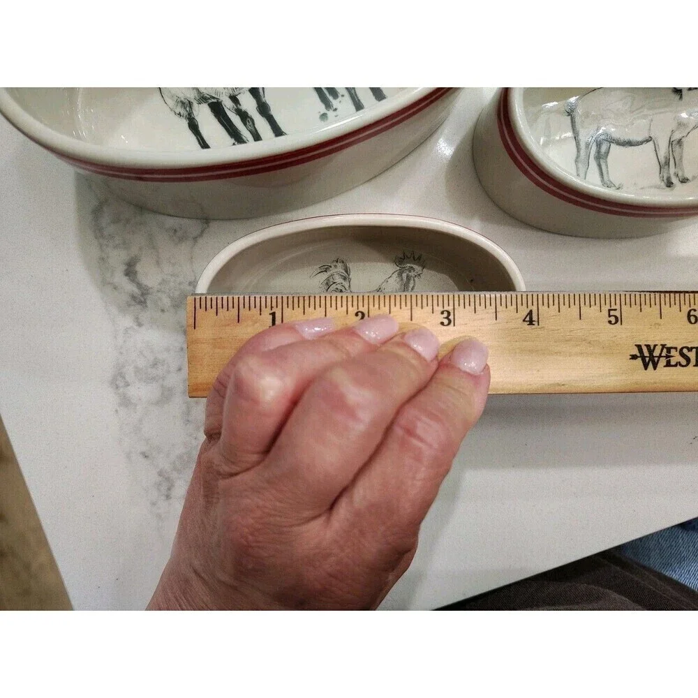 Creative Co-op M Chad Barrett Sheep Pig Rooster Bowl Farmhouse Nesting Ramekins